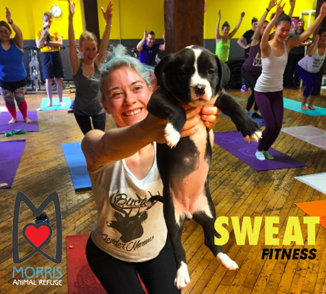 Puppy Yoga is back at SWEAT Fitness!