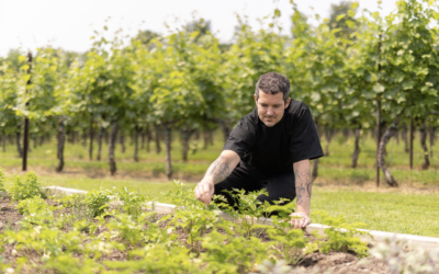 Farm to Fork: Philadelphia Chefs Utilizing On-Premise Grown Summer Produce
