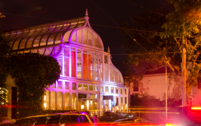 Night of Lights Returns to Historic Chestnut Hill