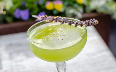 Floral Inspired Offerings for the Philadelphia Flower Show