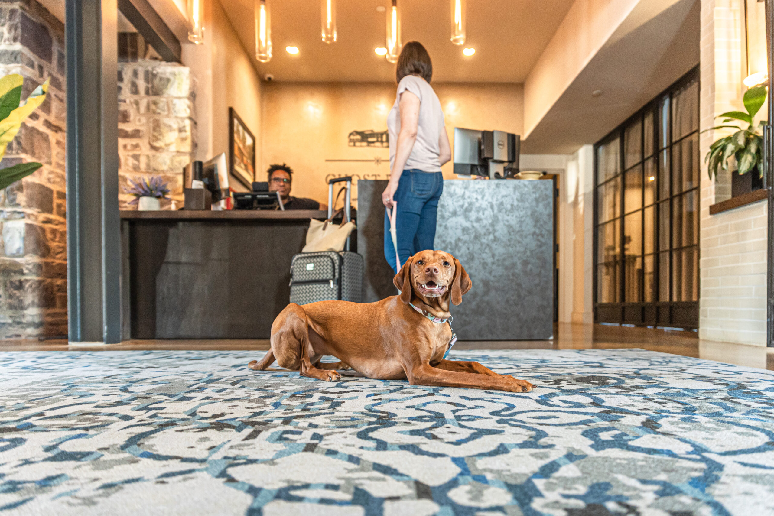 National Pet Month- Pet Packages, Pup Menus & More around the Philadelphia Region